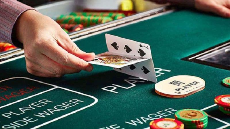 Cửa Hoà có tỷ lệ ăn cao 